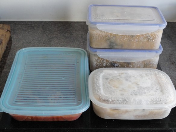 Freezer meals