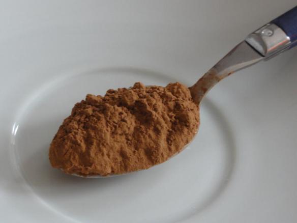 Spoon of reduced fat cocoa powder